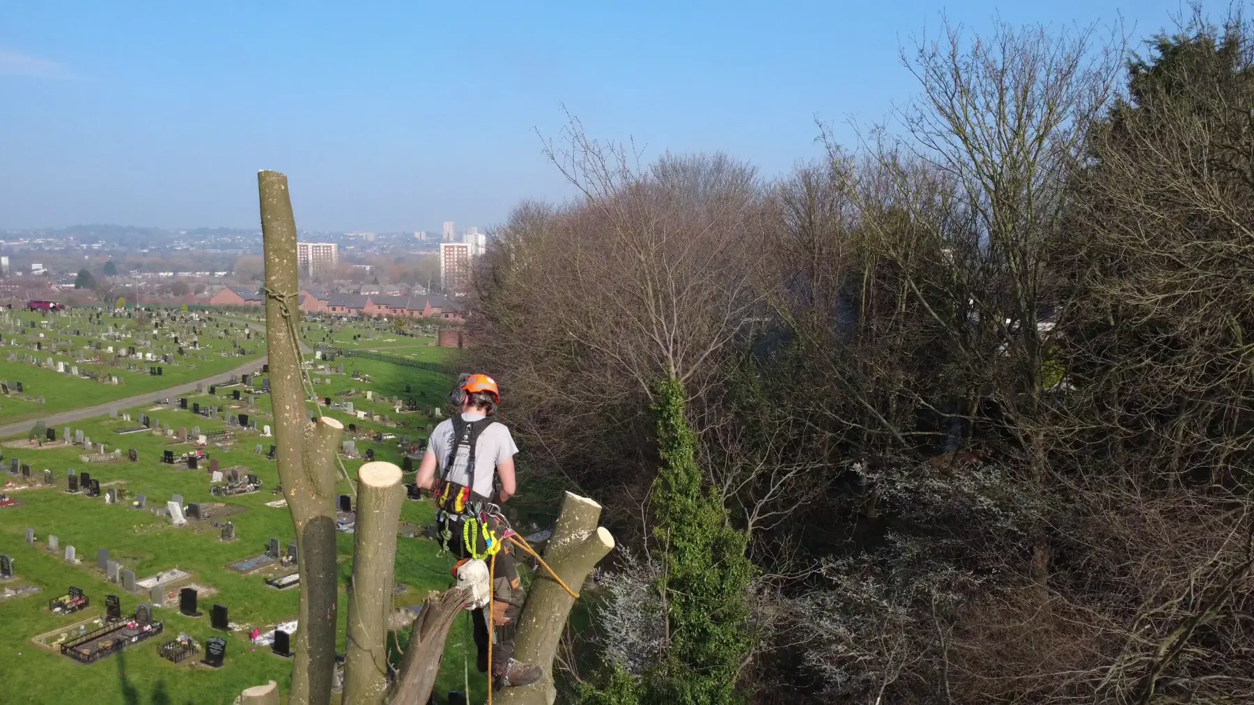Arborist carrying out a crown reduction high in a leafy canopy