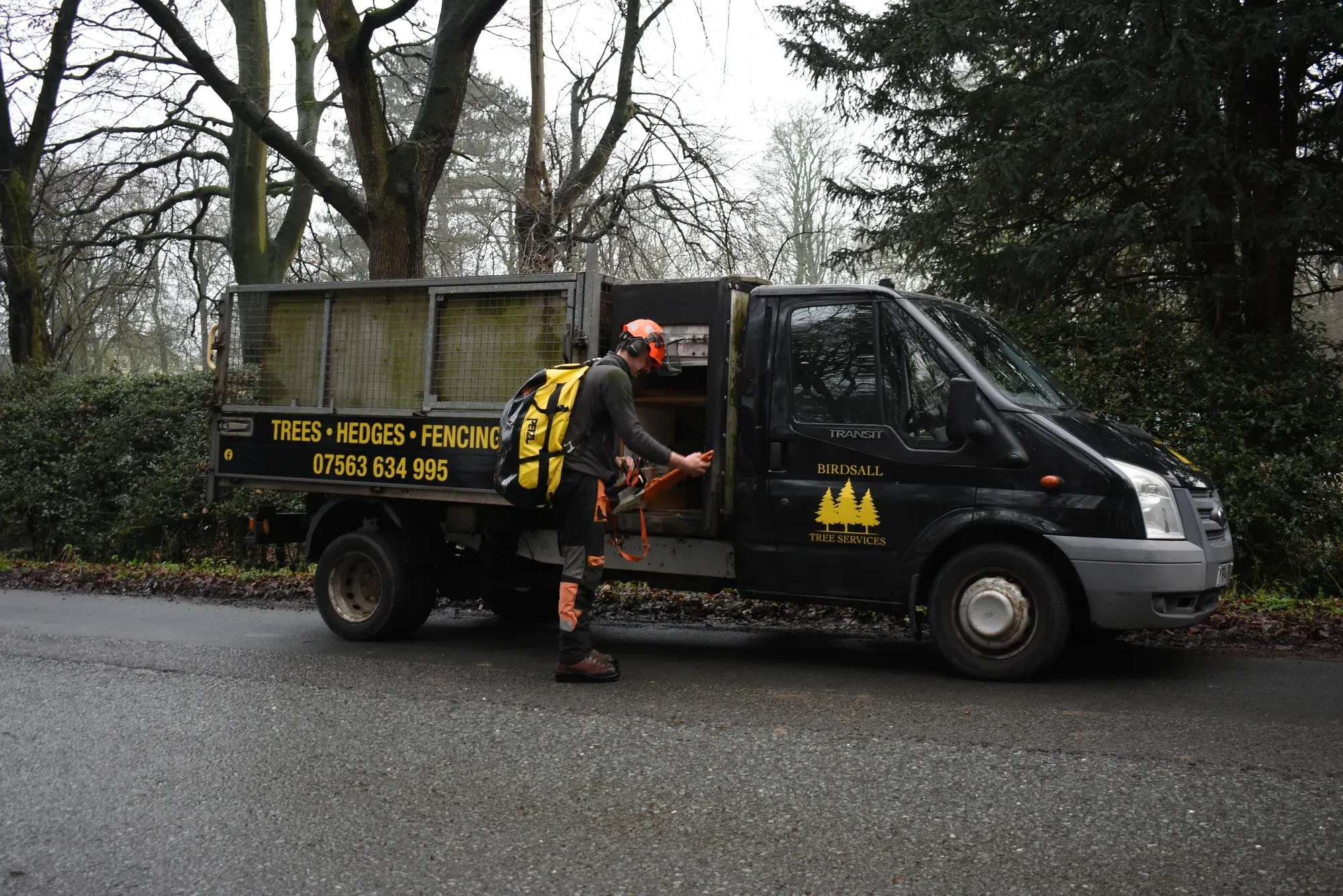 Jack loading cut timber into the branded Birdsall Tree Services tipper truck on a job