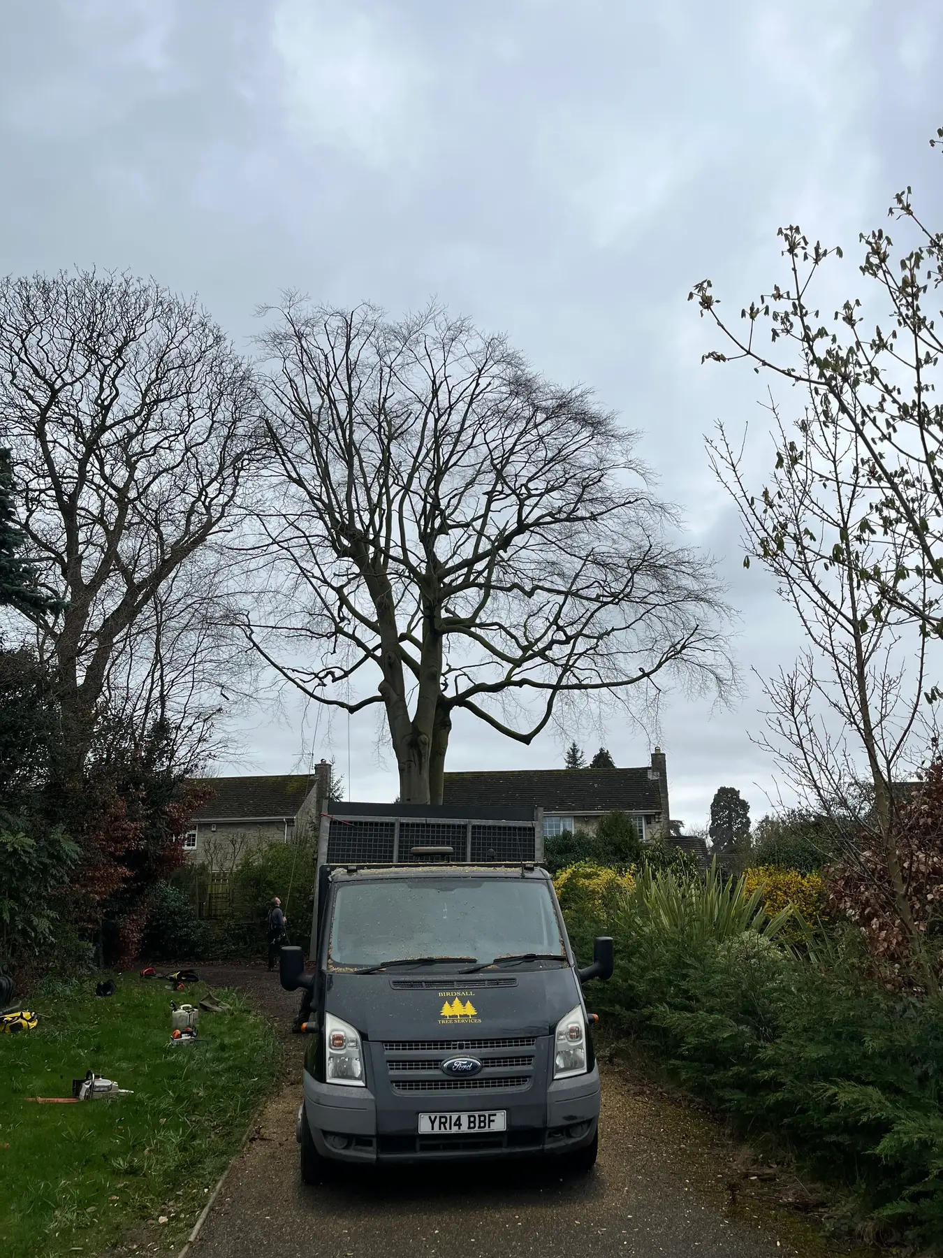 Birdsall Tree Services van parked at a job