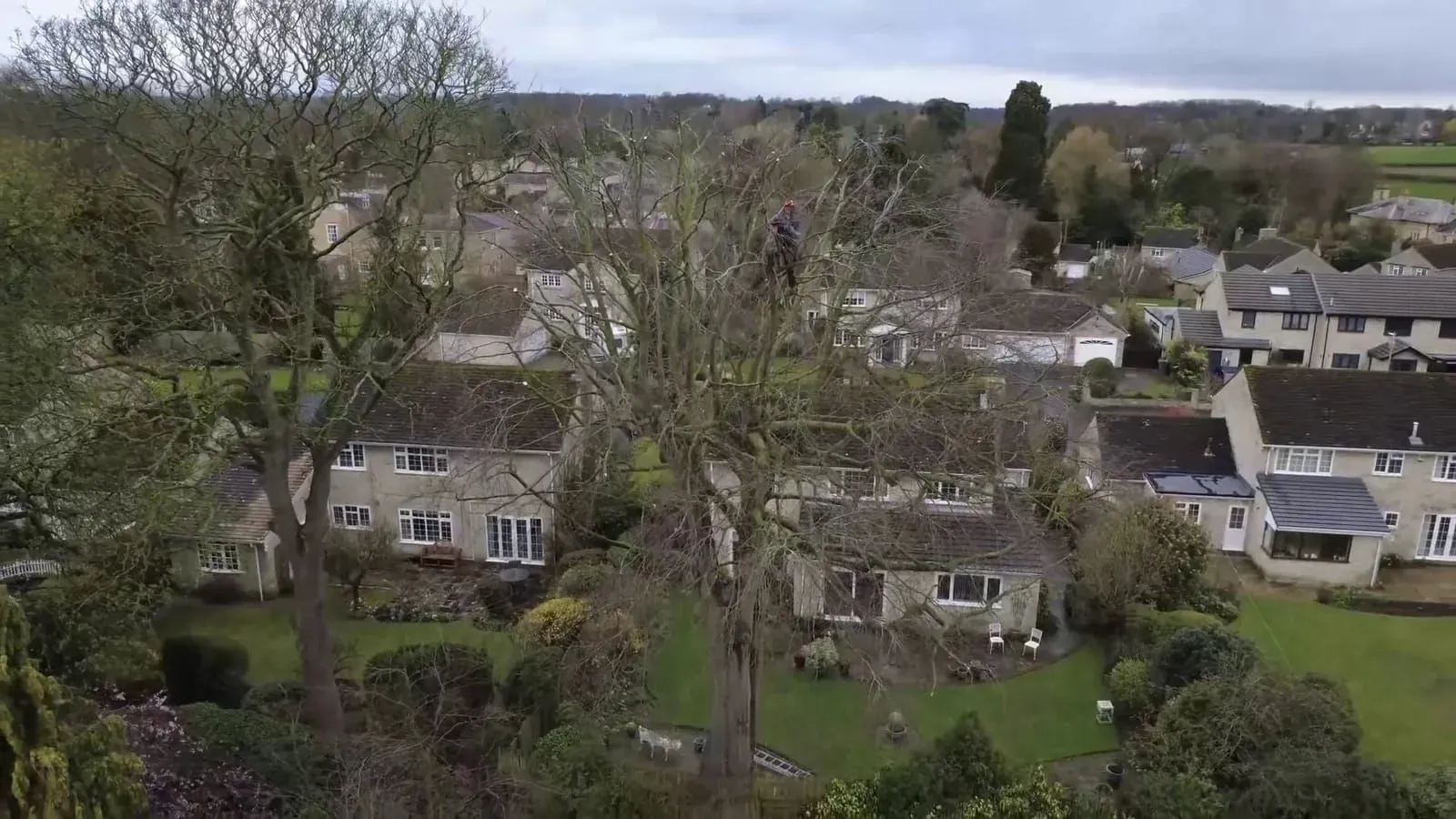 Drone view of a Birdsall climber high in a large tree among stone houses and gardens